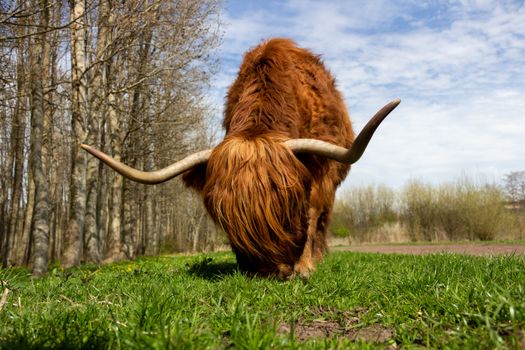 Waarom Rare Beauty ineens overal opduikt – en welke producten de hype echt waarmaken